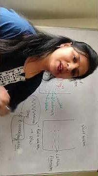 SCUM FORMATION ll class 10th ll hard water & soft water #scum