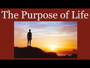 Father Mike Schmitz - The Purpose of Life