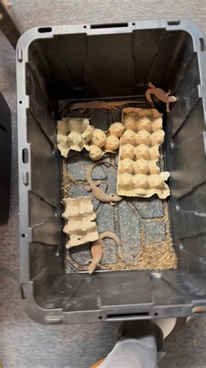 Baby feeding time | Micro Wilderness