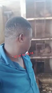 10K views · 74 reactions | 5 Conseils pour Réussir en Aulacodiculture...