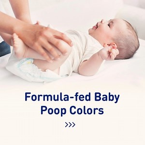 7.4K views · 11 reactions | Decipher what's in your baby's diaper and learn more about your little one's bowel movements, such as typical poop color and when a doctor's visit is recommended. More info: https://enfamil.link/3TUHcEw | Enfamil | Facebook