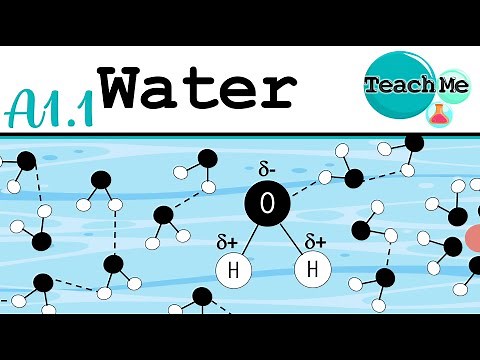 (A1.1) - Water - IB Biology (SL/HL)