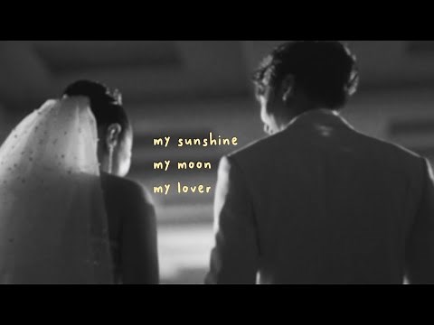 Vis - my sunshine my moon my lover (Lyric Video)