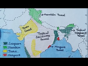 Natural Vegetation Map Work l How to Mark Forest On India Map l ChanKaran