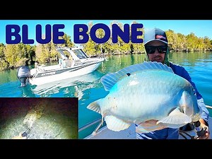Blue Bone Fishing Inshore Reef - Land based Cod hole at night!