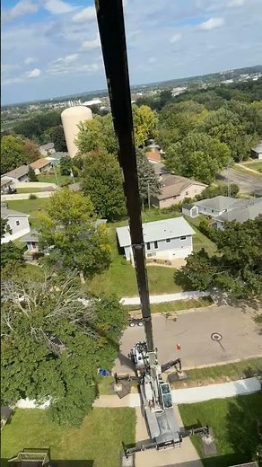 "Riding the ball" Tree assisted crane removal