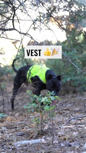 One Vest Changes Everything!