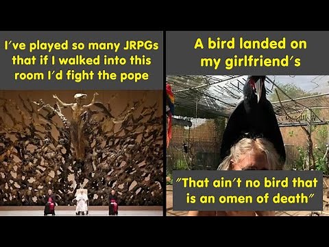 Random Memes That Bring Chaos, Laughter, And Unfiltered Fun | Humor Sweet