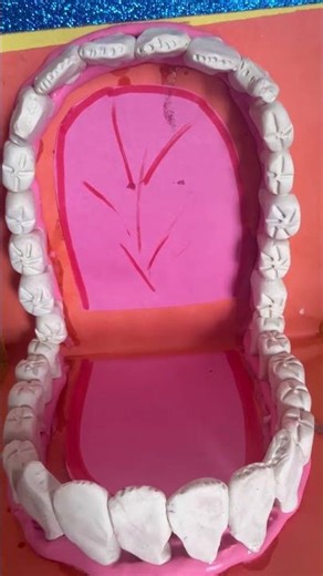 Teeth model with clay .. types of teeth🙏🏻🙏🏻