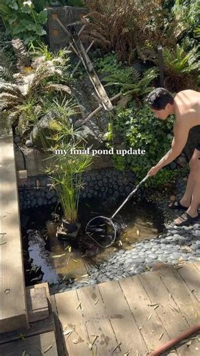 my final home pond update :( #fish #pond #aquarium #landscaping #yard