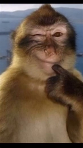 Anjali Rana on Instagram: ". #trending #explorepage #instagood #trend #explore #trendingreels #glowup #viral #instagram #trendingaudio #fyppppppppppppppppppppppppppp pppppppppppppppppppppppppppp pppppppppppppp #foryoupage #fy #foryou* #fyp #fyp* #engagement #engage (fyp, engagement, viral, trend, instagood)"