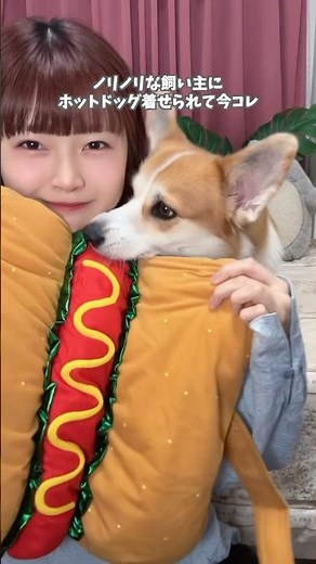 ホットドッグにされて今コレ🌭 #犬のいる暮らし #halloween2025 #ホットドッグ