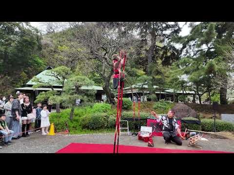 A Japanese Salaryman Encounters a Monkey Show in Yokohama