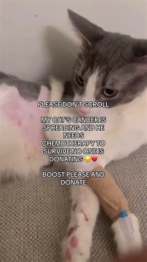 Please don't give up,on Timothee’s Journey.Donation link in bio for any one who can urgently help
