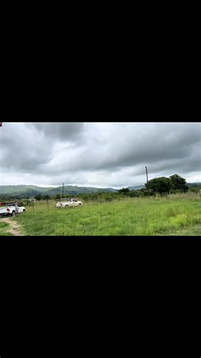 Memory Banda (@memoryband)’s videos with original sound - Mr Smile production