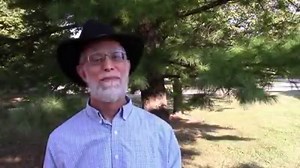 This is so beautiful! Violinist David Edge and his wife, Janet Thompson on harp play Interlude, by Ohio composer Steve Haines in another wonderful edition of #columbussymphonyathome. | Columbus Symphony