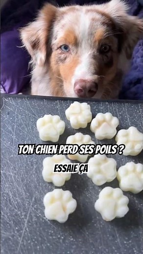 Astuce simple contre la perte de poils !