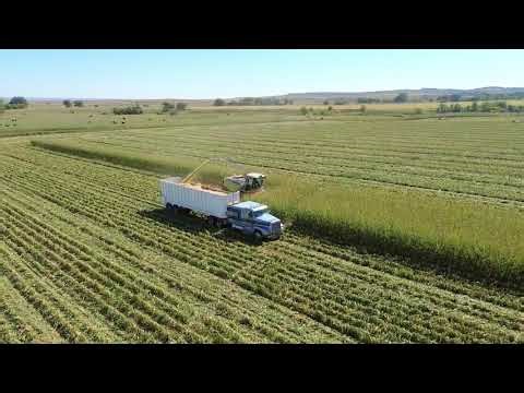 Dominoni 12 Row Folding Corn Head | Kooima Ag