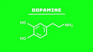 Dopamine Molecule Structure Symbol Animation of dopamine molecule on Green Background, 4k video