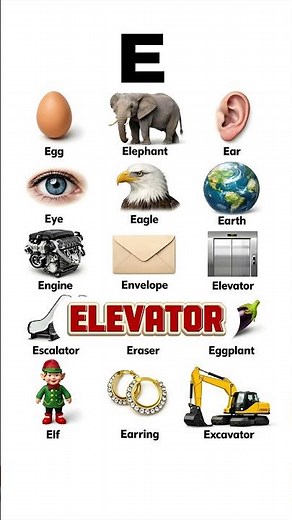 15 Common Words Starting with E | Learn English Vocabulary | Letter E