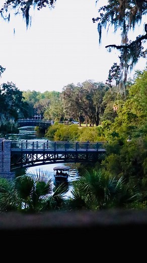Family history is precious magnificent and very important ! | Judge Glenda Hatchett