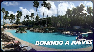 77 reactions · 25 shares | Calor....掠☀️ ☀️⛱ POOL PASS ☀️⛱ #EmbassySuitesSanJuan  Domingo a jueves de 11 a 6pm  $35 por adulto / incluye un trago de Don Q  $20 menores de 12 años No se permiten neveras. Nos reservamos el derecho de admisión. Sujeto a disponibilidad durante el mes de mayo de 2023. ¡See you soon! (787) 791-0505 | Embassy Suites Hotel & Casino San Juan | Facebook