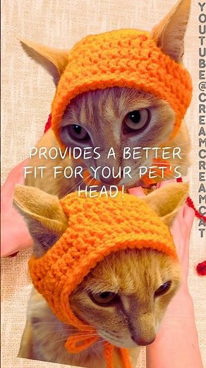 Crochet Cat Hat in a New Way! Rectangle Top vs. Traditional Style 🐱