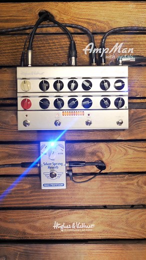 Ampman Classic Mad Professor Silver Spring Reverb 🎸 #pedalboard #guitaramps #guitarist #guitaristsofinstagram #madprofessor | Hughes & Kettner