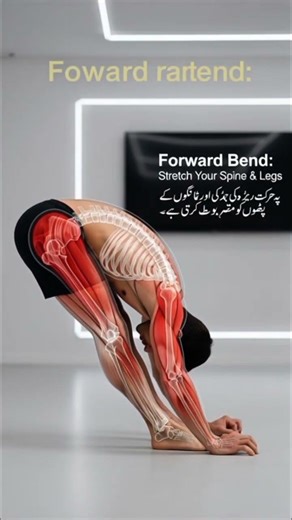 Wake Up Your Body in 23 Seconds | 3D Yoga Stretch Tutorial”