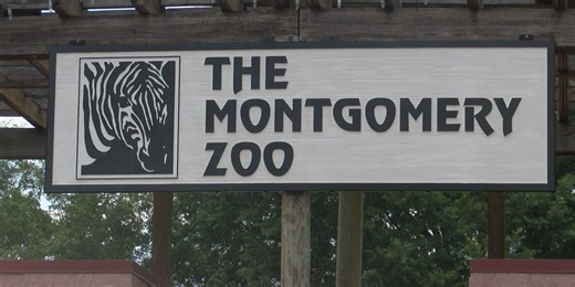 Zoobilation returning to Montgomery Zoo Thursday