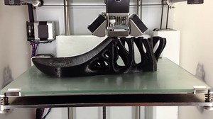 Continuum Shoe 3D printing Timelapse