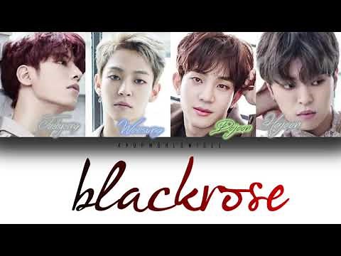 The Rose - Black Rose Lyrics (Color Coded Lyrics) [HAN/ROM/ENG]