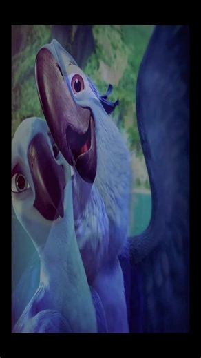 #rio #fyp #viral #danielcaesar | disillusioned daniel caesar