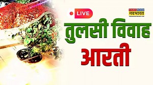 तुलसी महारानी नमो-नमो, हरि की पटरानी नमो-नमो ..तुलसी माता की आरती के लिरिक्स यहां देखें