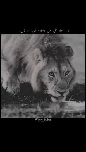 Spring Poetry: Unfreezing Creativity with Fresh Ideas