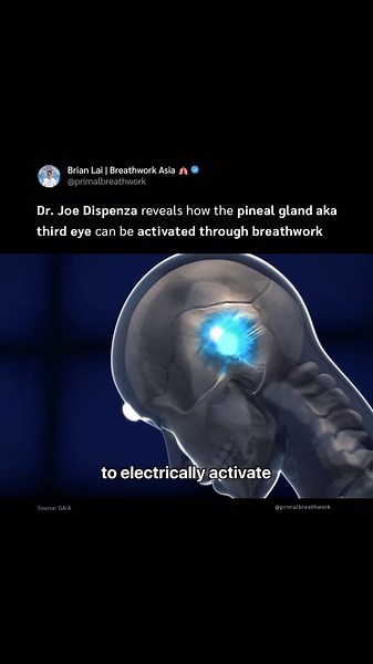Brian Lai | Breathwork Asia 🫁 on Instagram: "𝗔𝗰𝘁𝗶𝘃𝗮𝘁𝗶𝗻𝗴 𝗧𝗵𝗲 𝗣𝗶𝗻𝗲𝗮𝗹 𝗚𝗹𝗮𝗻𝗱 (𝗧𝗵𝗶𝗿𝗱 𝗘𝘆𝗲) 👁️ ➖Video 38 seconds➖ In his book 📚 “Becoming Supernatural,” Dr. Joe Dispenza @drjoedispenza explains how to activate the pineal gland, often referred to as the “third eye”. The pineal gland is an actual organ in the brain 🧠 and is responsible for producing melatonin and is linked to spiritual experiences and altered states of consciousness. When properly activated, it is said