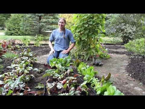 A Closer Look At The Garden Row Snip-n-Drip Soaker System | Gardener's Supply