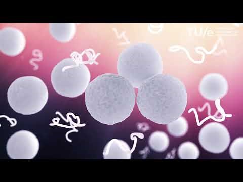 Colloids and the depletion interaction