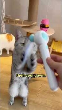 5 Cat Play Tricks That Feel ILLEGAL To Know! 😼🎯