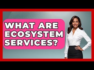 What Are Ecosystem Services? - Civil Engineering Explained