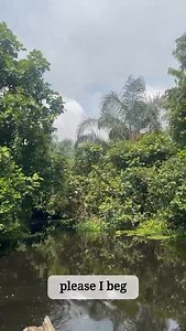 Uncover the wild side of Lagos at Ologe Forest in Badagry Hidden trails, lush greenery, and nature's symphony await. Perfect spot to unwind, explore, or capture that gram-worthy shot. Who's up for a Badagry adventure? ‎ ‎#LagosExplores ‎#LagosStateTours ‎#BadagryGems ‎#AGreaterLagosRising #LASG | The Lagos State Government