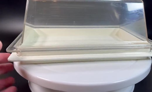 Tupperware Lidded Cheese Keeper Hard Clear Acrylic Lid Double Sided Ribbed/flat Ivory Base 1635-2 Vintage 2004 Kitchen Serve Ware - Etsy