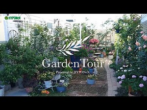 🕊Garden Tour🕊37：テーマカラーを白茶色ブルーに絞り、白い板塀でまとまりよく仕上げた、どの季節もお花で華やかなお庭