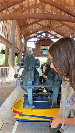 The Many Spiels of SheiKra 🦅 #buschgardens #rollercoaster #amusementpark #themepark
