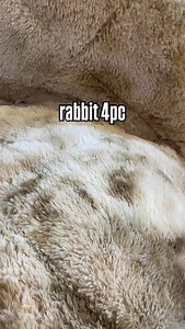 rabbit 4pc sets#pakistan #uk #cushion #bedding #cushions | Beijing Bedding Official