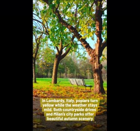 The World’s Most Beautiful Places To See Fall Colors.