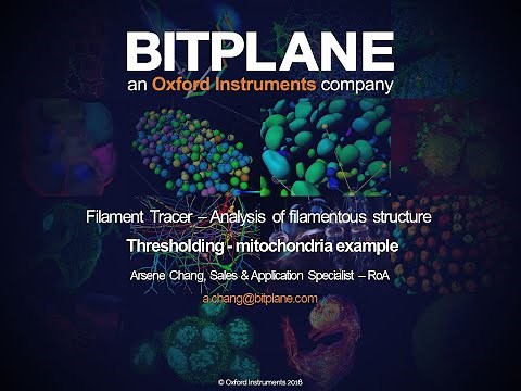 8.6 Imaris: Filament Mitchondria example