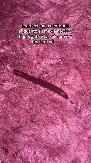 aaai #meme #humor #3ds #fyp