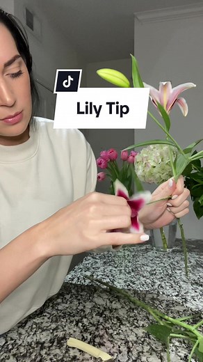 This is where most of the pollen is so if lilies give you a headache or you don’t like the smell this will help solve that
