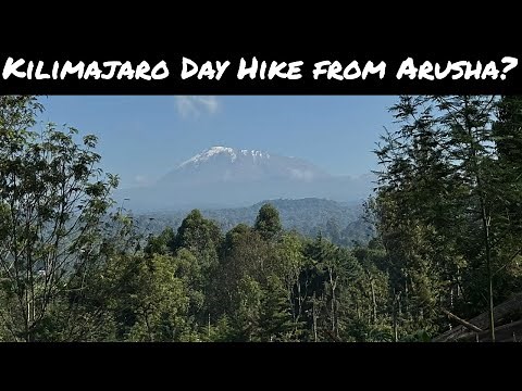 Kilimanjaro Day Hike: Marangu Route Rainforest Trek to Mandara Huts (See Blue Monkeys!)